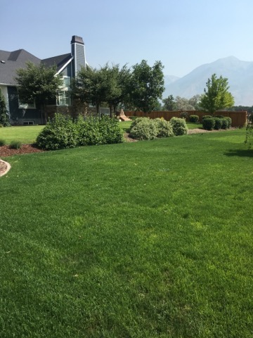 Ace’s Spray’s Top 5 Recommendations for Spring Lawn Perfection