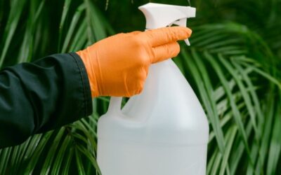 Prepping Your Home for Northern Utah’s Bug Season with Ace’s Spray