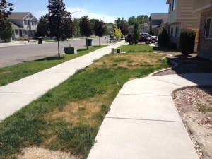 Grass Cutting Service American Fork, UT