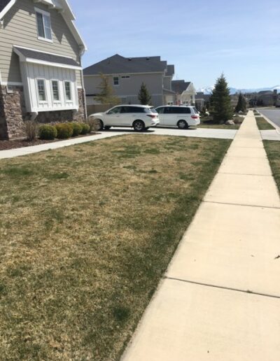 Lawn Care in Utah Before