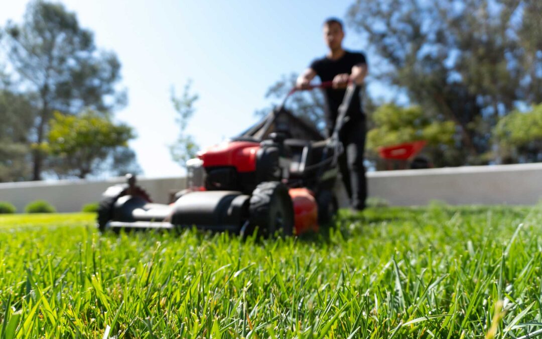 Kickstart Your New Year with Preemptive Lawn Maintenance