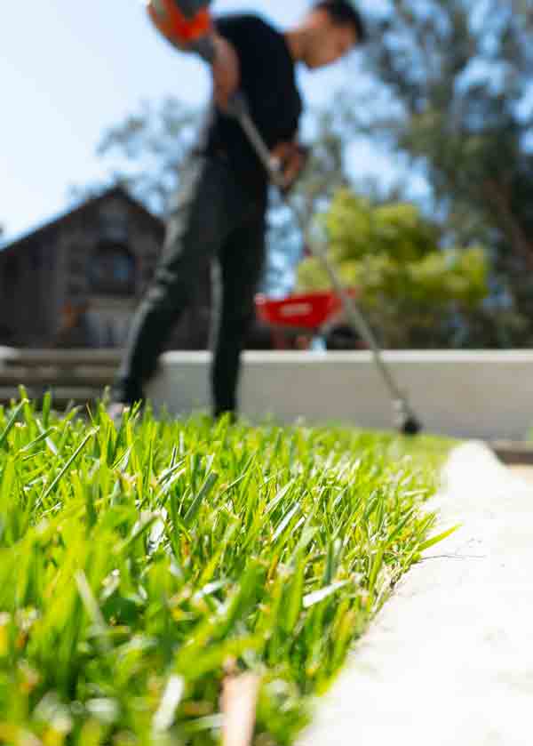 Ace's Spray Premium Lawn Care Services