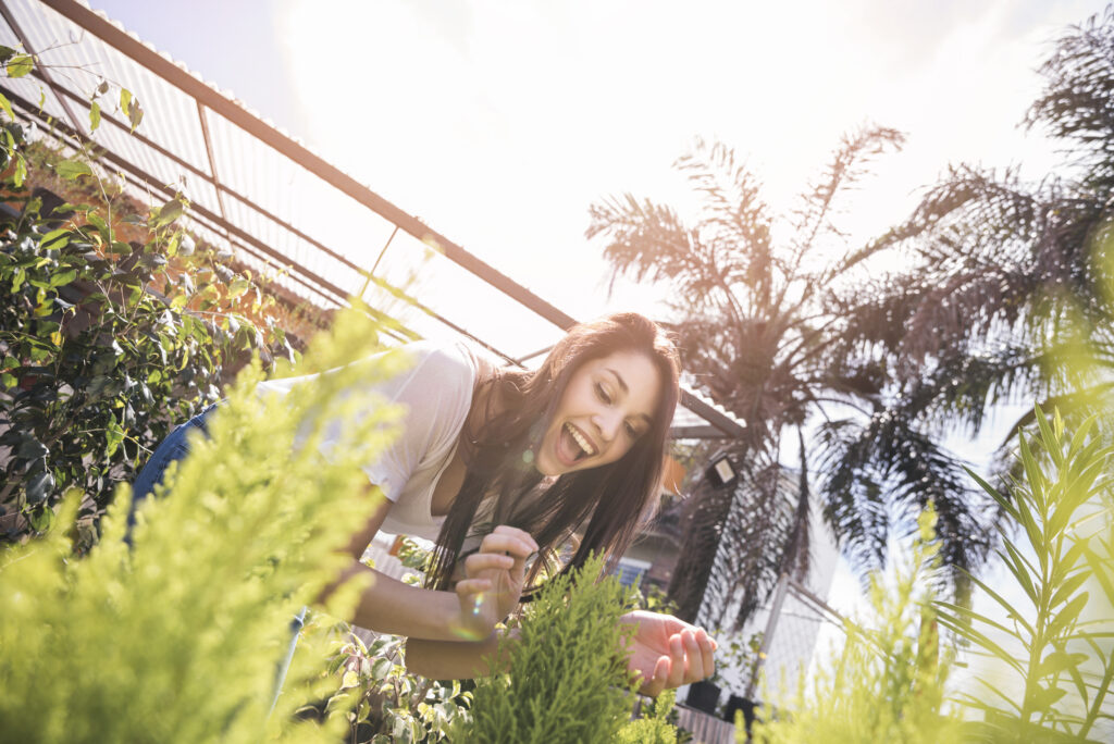 The Impact of Heat on Your Lawn & How to Prevent Damage